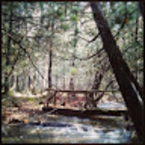 Meet your Posher, Fannie